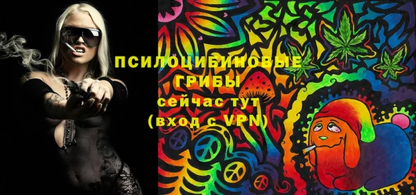 стаф Алзамай