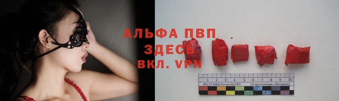стаф Алзамай