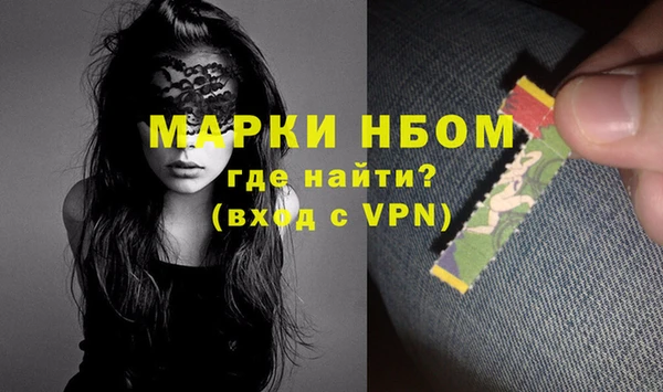 стаф Алзамай