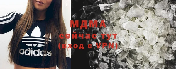 стаф Алзамай