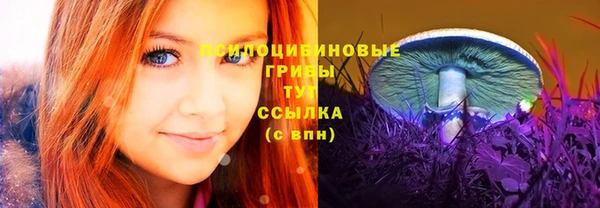стаф Алзамай