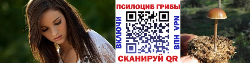 цены   Кувшиново  Галлюциногенные грибы ЛСД 